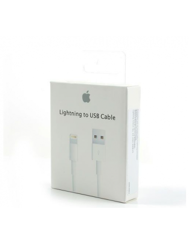 Câble de charge Original Apple
